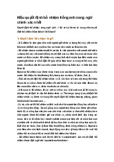 Mẫu quyết định bổ nhiệm tiếng anh song ngữ chính xác nhất