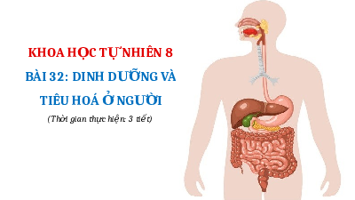 Giáo án điện tử Khoa học tự nhiên 8 Bài 32 Kết nối tri thức: Dinh dưỡng và tiêu hóa ở người