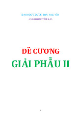 Đề cương tự luận ôn tập  môn Giải phẫu | Trường Đại học Y Dược, Đại học Quốc gia Hà Nội