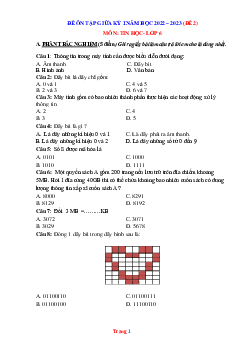 Đề ôn tập giữa học kỳ 1 Tin Học 6 năm 2022-2023-Đề 2