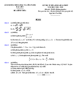 Đề tuyển sinh lớp 10 THPT năm 2019 – 2020 môn Toán sở GD&ĐT Bạc Liêu