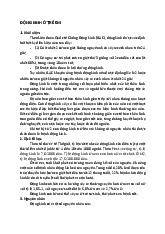 Bài giảng Động kinh | Đại học Y Dược Thái Bình