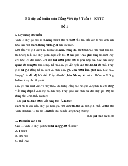 Phiếu bài tập cuối tuần lớp 3 môn Tiếng Việt Kết nối tri thức - Tuần 6