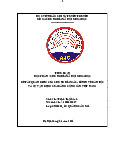 Quan điểm của  chủ nghĩa Mác - Lênin về dân tộc và sự vận dụng của Đảng Cộng sản Việt Nam | Tiểu luận Chủ nghĩa xã hội khoa học