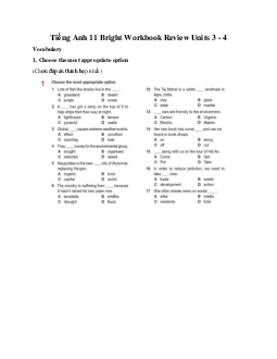 Giải Tiếng Anh 11 Unit 4 trang 38 | Bright