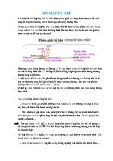 Hô hấp kỵ khí là hình thức phân giải các hợp chất hữu cơ để sinh năng lượng mà không có sự tham gia của oxy không khí. Môn Thực vật học | Trường Học Viện nông nghiệp Việt Nam