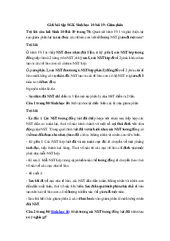 Giải bài tập SGK Sinh học 10 bài 19: Giảm phân