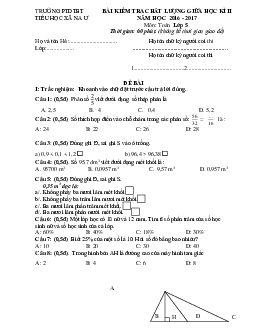 Đề thi giữa học kì 2 môn Toán lớp 5 trường tiểu học xã Na Ư năm 2016-2017