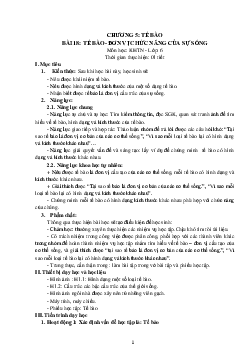 Giáo án Khoa học tự nhiên 6 sách Kết nối tri thức với cuộc sống Bài 18