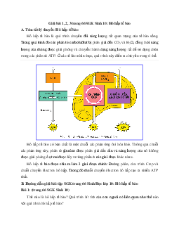 Giải bài tập trang 66 SGK Sinh học lớp 10: Hô hấp tế bào