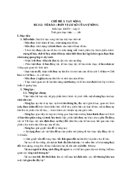 Giáo án Khoa học tự nhiên 6 sách Cánh diều Phần sinh học Chủ đề 3