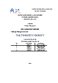 Walt Disney Company - Strategic management - Tài liệu tham khảo | Đại học Hoa Sen