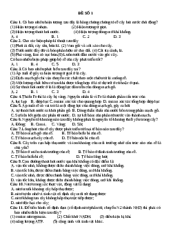 Bộ đề kiểm tra 1 tiết môn Sinh học lớp 11 học kì 1| Kết nối tri thức