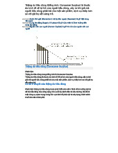 Thặng Dư Tiêu Dùng và Thặng Dư Sản Xuất - Khái Niệm và Ứng Dụng