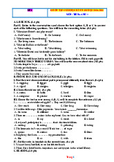 Đề Ôn Tập Học Kỳ 1 Tiếng Anh 7 Global Success 2025-2026 Có Đáp Án File Nghe-Đề 1