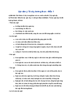 Lập dàn ý Tả cây lương thực | Tập làm văn 4