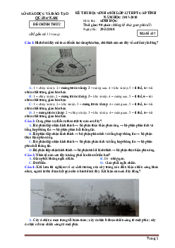 Đề thi HSG THPT cấp tỉnh môn sinh 12 năm học 2017-2018 sở GD Quảng Nam (đề 437, có đáp án)