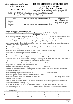 Đề thi chọn học sinh giỏi lớp 9 năm 2018-2019 môn Tiếng Anh Đề 10 (có lời giải)