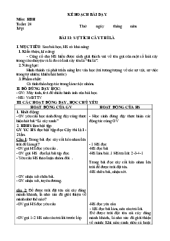 Giáo án buổi chiều môn Tiếng Việt 2 sách Kết nối tri thức với cuộc sống (Cả năm) | Tuần 24