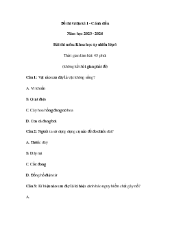 Đề thi giữa học kì 1 môn Khoa học tự nhiên 6 năm 2023 - 2024 sách Cánh diều | Đề 7
