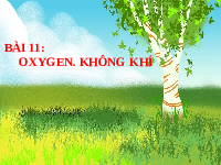 Giáo án điện tử Khoa học tự nhiên 6 bài 11 Kết nối tri thức : Oxygen. Không khí