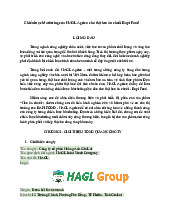 Chiến Lược Marketing cho Heo Ăn Chuối tại HAGL | Nguyên Lý Marketing | Đại học Tôn Đức Thắng