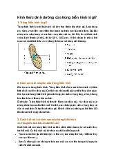 Hình thức dinh dưỡng của trùng biến hình là gì?