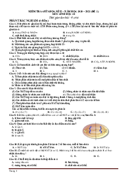 Đề kiểm tra giữa học kỳ 2 môn Sinh 10-Đề 1 năm học 2020-2021 (có đáp án)