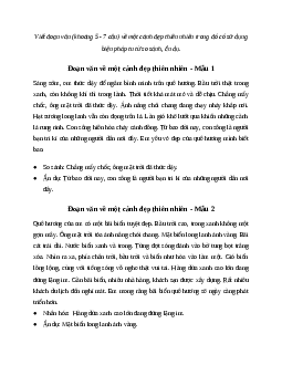 Văn mẫu lớp 6: Viết đoạn văn về một cảnh đẹp thiên nhiên có sử dụng biện pháp tu từ so sánh, ẩn dụ | Kết nối tri thức