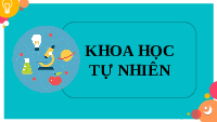 Giáo án điện tử Khoa học tự nhiên 6 bài 1 Kết nối tri thức : Giới thiệu về Khoa học tự nhiên
