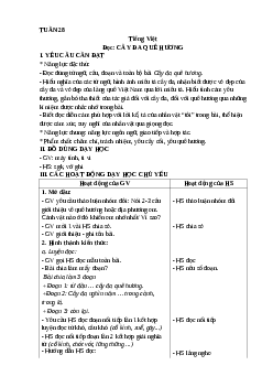 Giáo án Tiếng Việt lớp 4 Tuần 28 | Kết nối tri thức