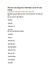 Tên các con sông lớn ở Việt Nam và vai trò của chúng