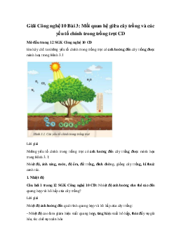 Giải Công nghệ 10 Bài 3: Mối quan hệ giữa cây trồng và các yếu tố chính trong trồng trọt CD