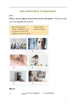 Giải Tiếng Anh 8 Unit 11: A Closer Look 1 | Kết nối tri thức