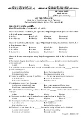 Đề thi tuyển sinh lớp 10 Trường THPT chuyên Đại học Sư phạm năm 2024 môn Tiếng Anh