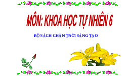 Giáo án điện tử Khoa học tự nhiên 6 bài 3 Chân trời sáng tạo : Quy định an toàn trong phòng thực hành. Giới thiệu một số dụng cụ đo. Sử dụng kính lúp và kính hiển vi quang học