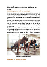 Tập hít đất nhiều có giúp tăng chiều cao hay không?