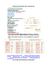 Các thành tố trong thuật ngữ tiếng anh y khoa | Đại học Y khoa Phạm Ngọc Thạch