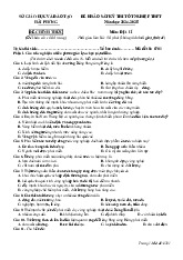 Đề thi khảo sát tốt nghiệp THPT 2025 môn Địa lí lần 2 Sở GD&ĐT Hải Phòng
