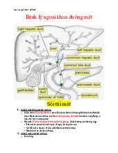 Bệnh lý ngoại khoa đường mật | Tài liệu ngoại tiêu hóa