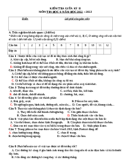 Đề thi giữa học kì 2 môn Tin học 6 năm 2023 - 2024 sách Cánh diều | Đề 2