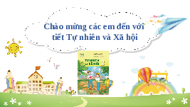 Giáo án điện tử Tự nhiên và Xã hội 2 Bài 20 Kết nối tri thức: Ôn tập chủ đề Thực vật và động vật