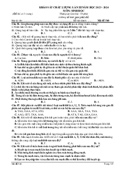 Đề thi thử THPT Quốc gia năm 2024 lần 3 môn Sinh học trường THPT Đội Cấn, Vĩnh Phúc - Mã đề 540
