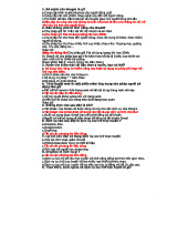 NHẬP MÔN Internet: Các Câu Hỏi và Đáp Án Quan Trọng