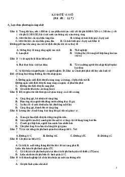 Đề thi Kinh tế Vi mô mã đề 117