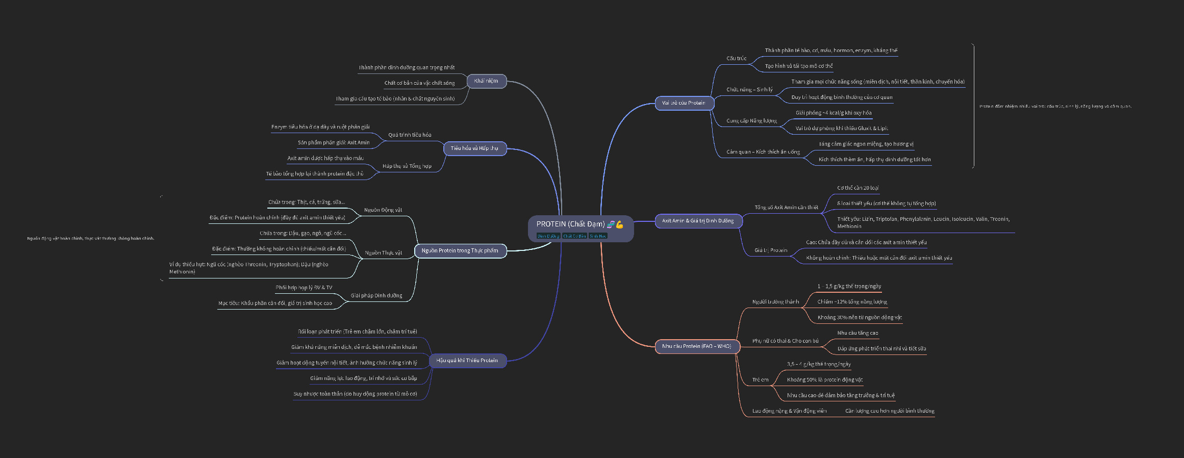 Sơ đồ tư duy protein (Chất Đạm)