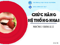 Chức năng hệ thống nhai môn Răng hàm mặt  | Trường Đại học Y khoa Vinh