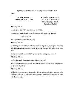 Bộ đề thi học kì 1 Hóa 9 năm học 2023 - 2024 Có đáp án (11 đề)