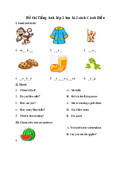 Đề thi học kì 2 môn Tiếng Anh 2 năm 2022 - 2023 sách Cánh diều |đề 3