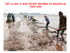 Bài giảng điện tử môn Công nghệ 7 Bài 14: Bảo vệ môi trường nuôi và nguồn lợi thuỷ sản (Tiết 33) | Cánh diều